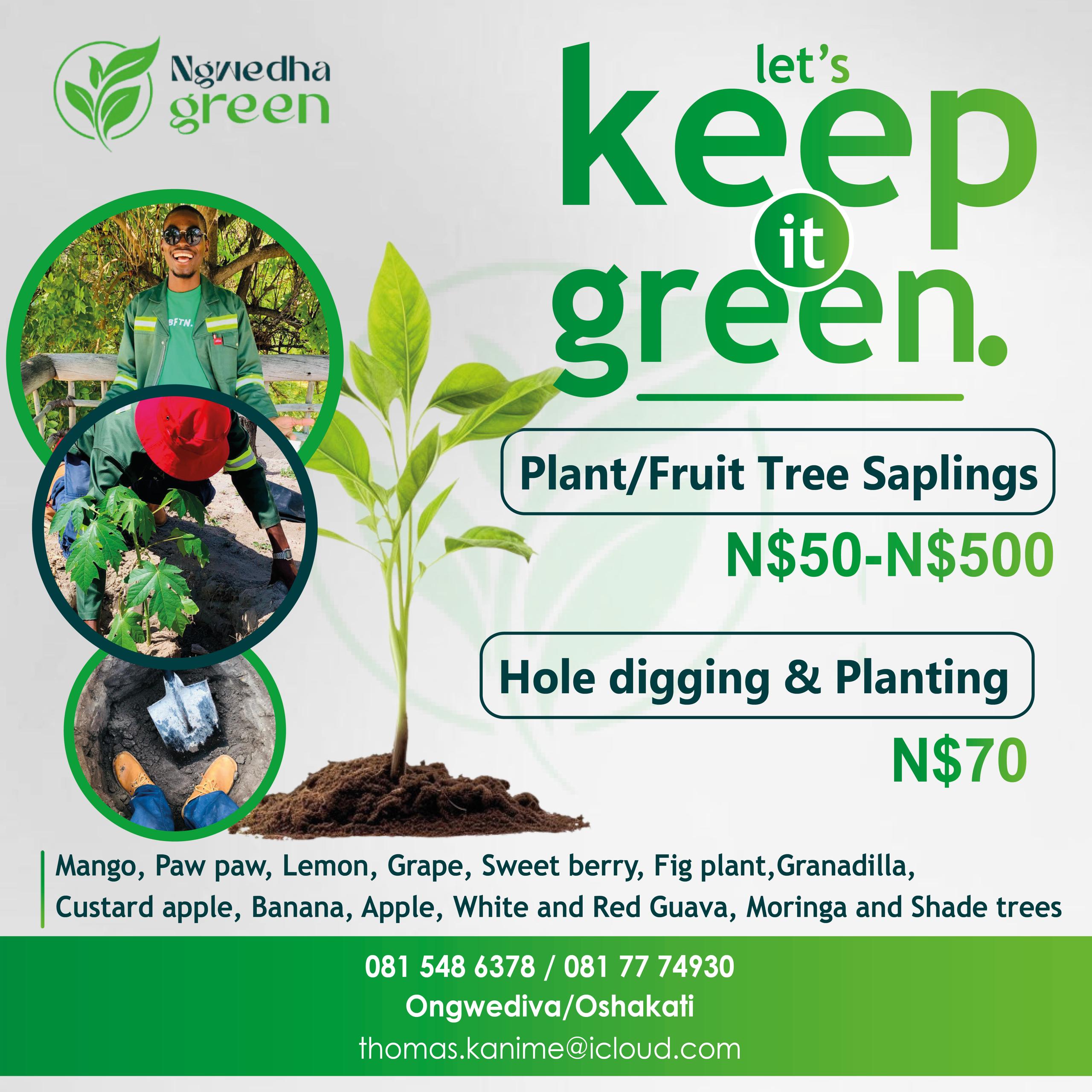 Ngwedha Green